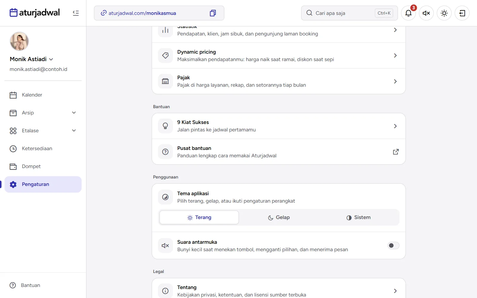 Tangkapan layar: bagian Penggunaan dengan Tema aplikasi dan Suara antarmuka, tampilan desktop
